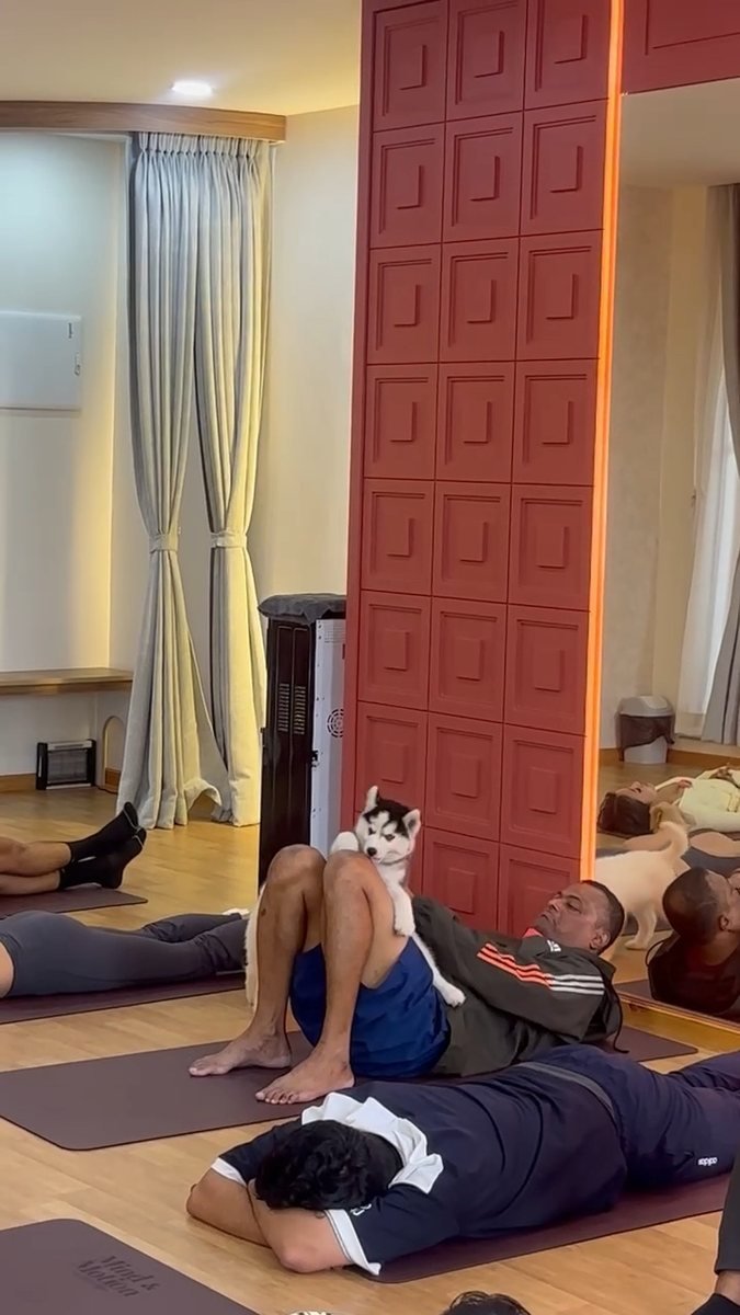 Guests lying back on the mats with the dogs.